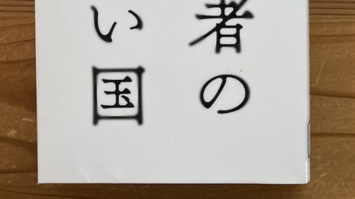 主権者のいない国