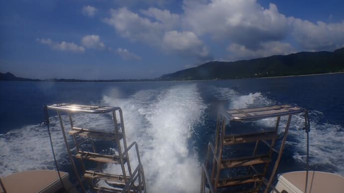 奄美大島で潜ってきた2022.7(その6 final)