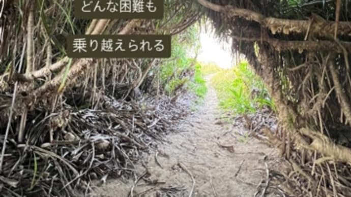 〜マヤ暦 K 251 青い猿・黄色い星・音4〜 春分までに、心の準備をしよう