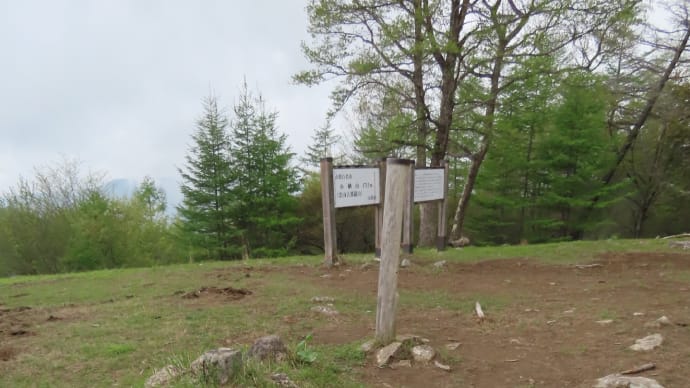 ▲ 焼山峠から小楢山へ ▲