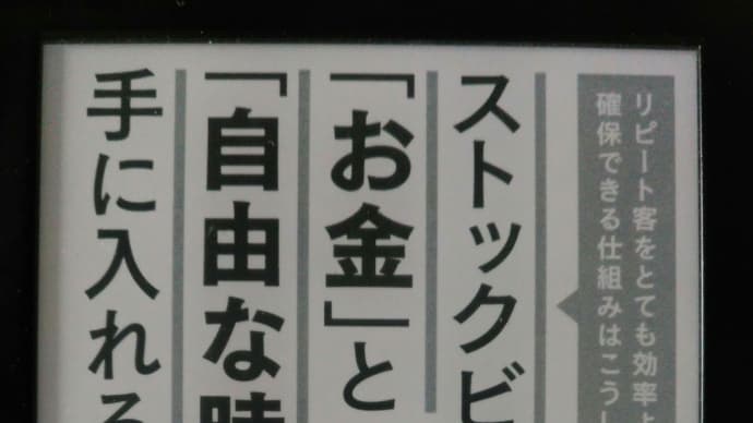 ストックビジネスでお金と自由な時間を手に入れる・・を読んだ