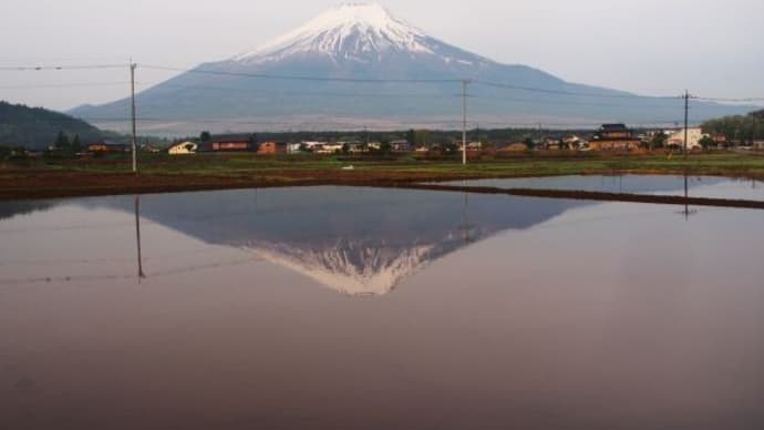 山梨県・忍野村・内野の「忍野の田んぼ」