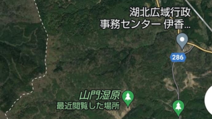 山門水源の森でササユリを見た、の巻