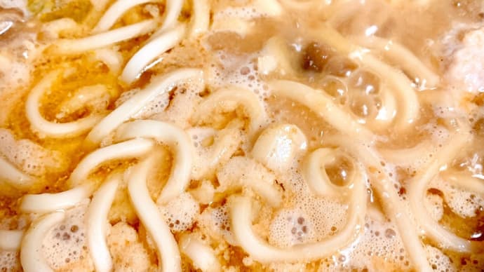 糖尿病の食事…信州味噌の味噌煮込みうどん!
