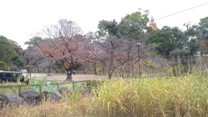 冬至・とうじ・そうじ・掃除・大掃除（悲）