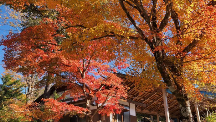 ★木曽谷の紅葉🍁🍂(天下の奇勝 寝覚の床①)2024