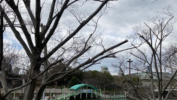 大阪へ戻ってまた京都へ 東本願寺から渉成園へ