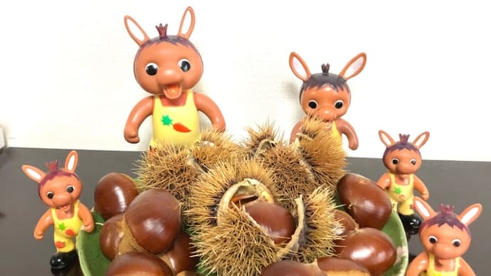 ロバくんと栗拾いに行ってきたよ