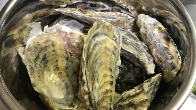 冷凍牡蠣１０kgを取り寄せ・・・蔵出しで