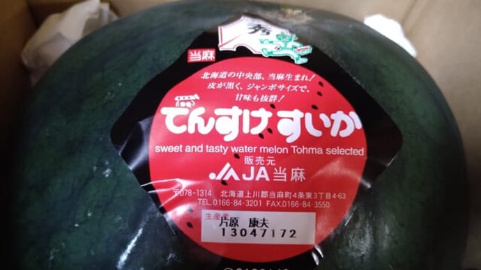 今年もでんすけすいか
