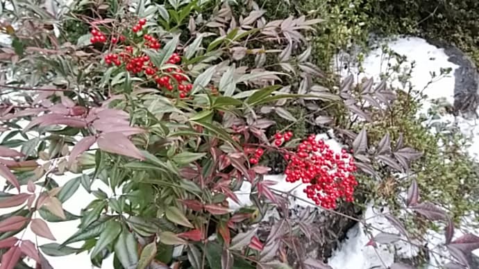佐藤鬼房/地にもぐるもろごゑ雪の精を享け