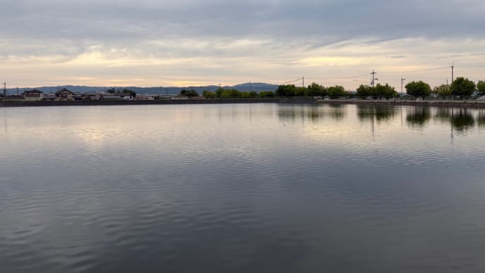 夕方散歩
