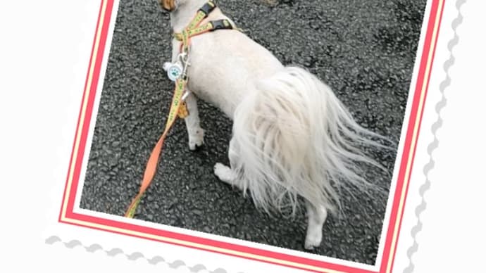 毎日嗅ぎ嗅ぎ