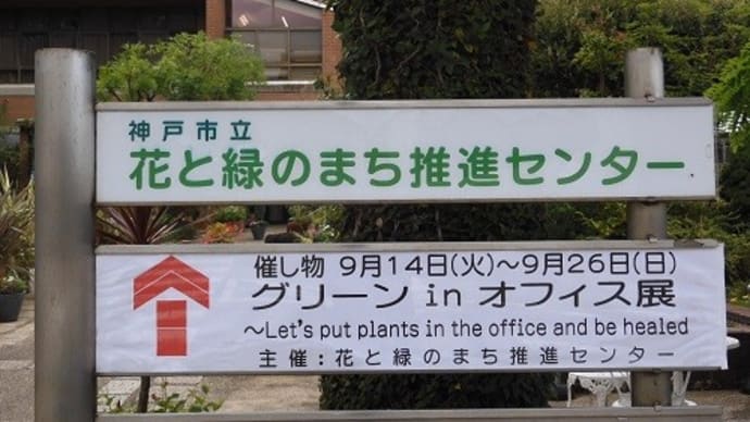 グリーン in オフィス展