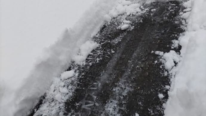 今期初の雪片づけ