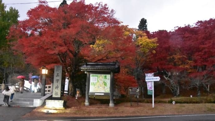 猪苗代の土津神社の紅葉のライトアップを観てきました。