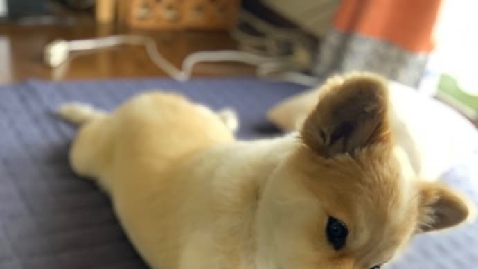 アマビエ!