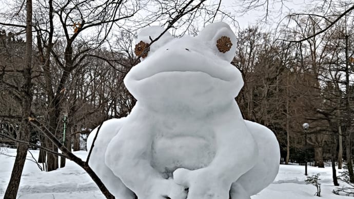 笑顔がかえる🐸と雪リス🐿️と元気なエゾリスたちと。～円山公園＆北海道神宮～