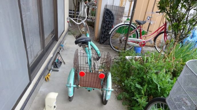 母との、歩幅の違い、自転車の例、親不孝な私