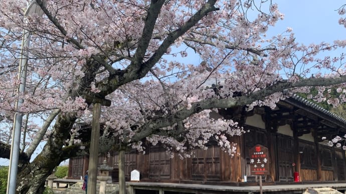 国宝浄土寺へ(小野市浄谷町)