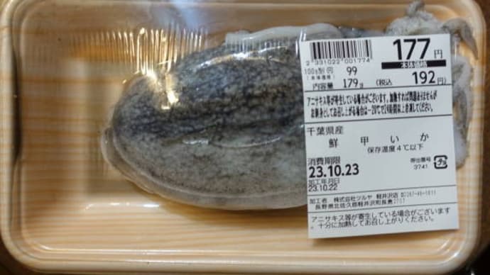 海無し県のスーパーで鮮甲イカをゲットして