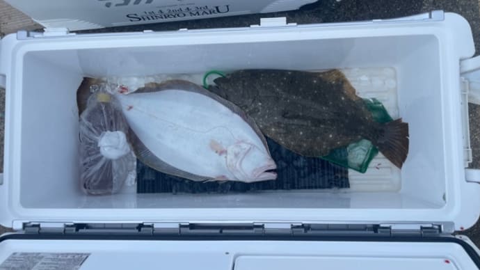 30日・釣果