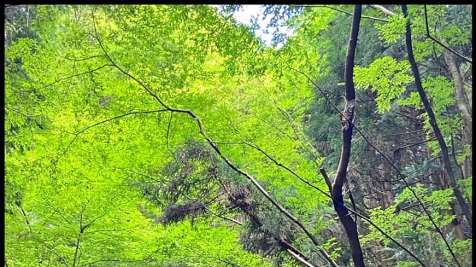 色んな風景~金剛山~