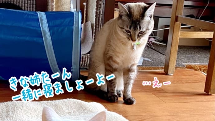 お互い学習能力が…