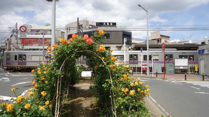 京成八幡駅前のバラ