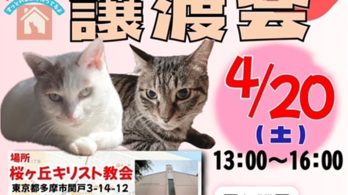 保護猫譲渡会4/20(土)in多摩市聖蹟桜ヶ丘