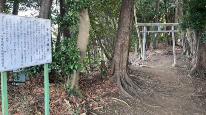 4時間で3カ所:三浦半島ドライブ&散歩