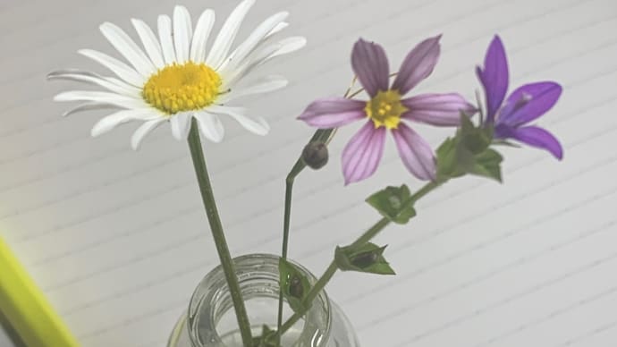 雑草の花 生花 野の花 癒し 幸せホルモン 自然の風との触れ合い 無料で出来るリラクゼーション リラックス SDGs インテリア ボタニカル 大変な毎日 忙しい毎日 日々の苦難 tokyo2072