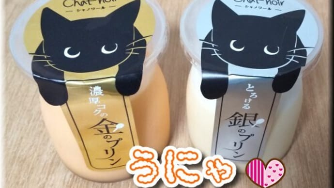 チルド猫たち