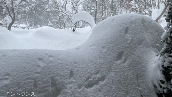 ひつこい過ぎる今年の雪