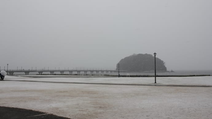 今日の竹島は雪