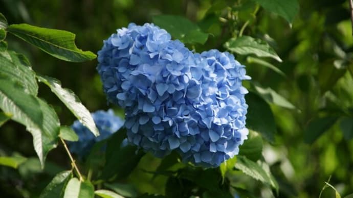 歴史に刻まれた恩義の何分の1かは返せる。朝鮮と違ってきっと意味あるものになるはずだ。
