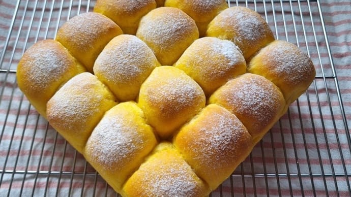 かぼちゃちぎりパン★カサブランカが咲きました