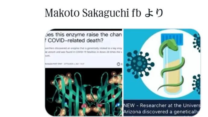 コロナワクチン【蛇の毒】アリゾナ州の科学者がワクチン接種で死亡した人を解剖、毒蛇の【毒の成分】と同じであったと報告!この毒は安全量の20倍!接種者は5年以内に死亡!西村大臣、ワクチン安全性は不明
