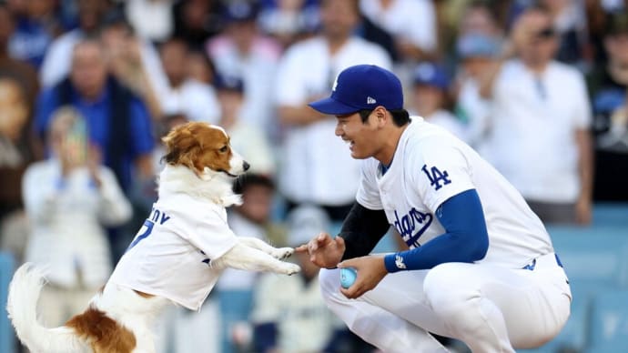 大谷翔平選手は多くの分野でファンを増やす術を持つ!!