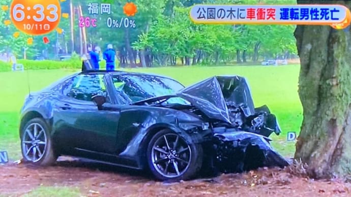 長野の公園にヴォケが普通乗用車で乱入 木に打つかり自業自得でくたばる