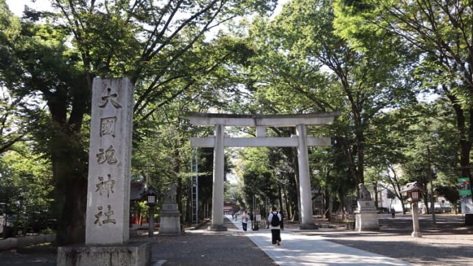 甲州道中四十四次を歩く その2(国領宿・調布駅~八王子駅)