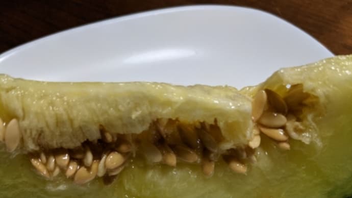 夏野菜祭り