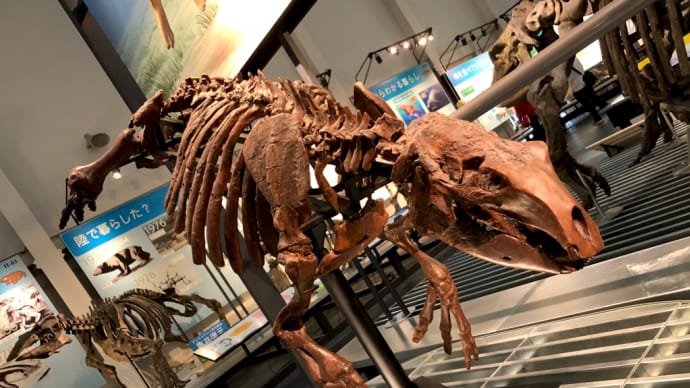【帯広～足寄】十勝スピードウェイと足寄動物化石博物館