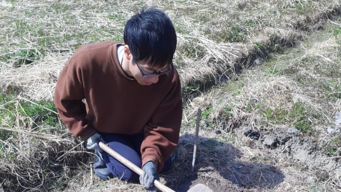 2025年 自然農稲作教室 苗床づくり オケラ対策