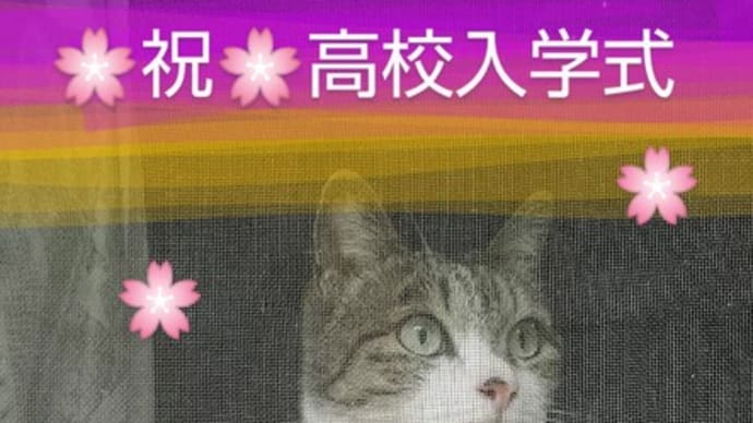 高校の入学式🌸&始業式ーー いな17(水)完成だあ❗️