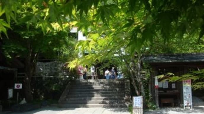 初夏の装い「鎌倉宮」♪、(2025春)。
