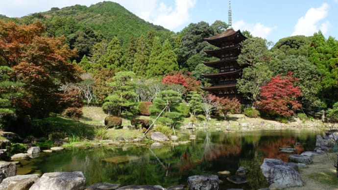 山口盆地紅葉前線その3