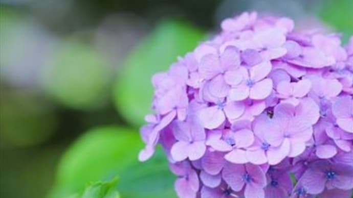 神の手はどんな手ですか
