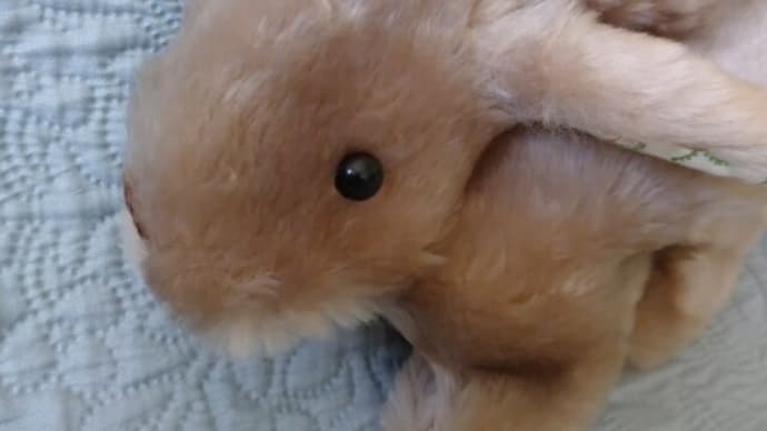 もうすぐ完成、もうすぐ「うさフェスタ」!