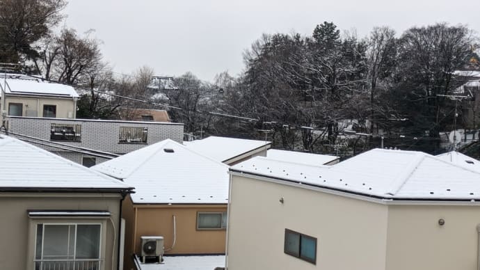 解禁に浮かれるワタシ